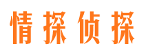 梨树侦探公司